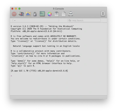 R Application Console