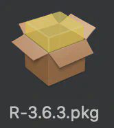 Icon R Installer Package.