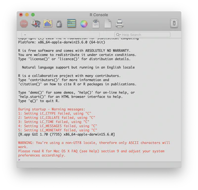 R Application Console with Language Warning.