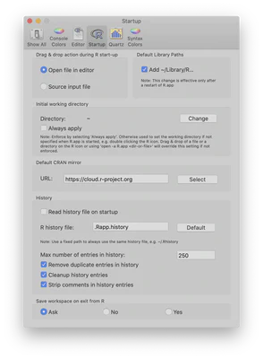 R Application Startup Preferences.