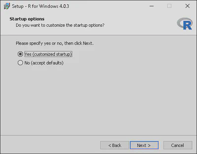 R Installation Customize Startup.